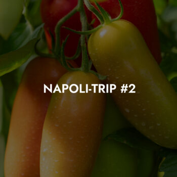 Reise in die Heimat der neapolitanischen Pizza – Tag #2