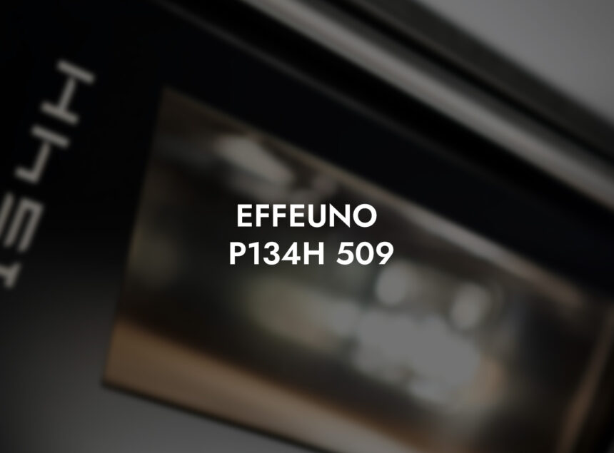 EFFEUNO P134H 509: Der Perfekte Pizzaofen für Zuhause