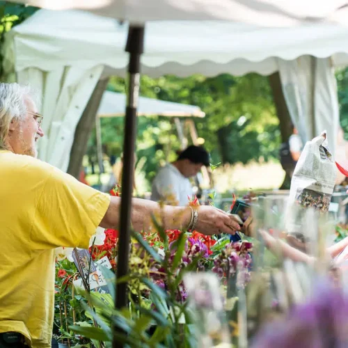 Gartenfestivals-Gartenfest-Dalheim-Galeriebild-1.jpg